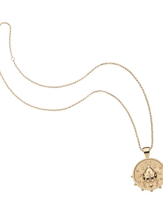 Jane Win Jewelry - Jane Win LUCK Be a Ladybug JW Small Pendant Coin 16-18 inch chain